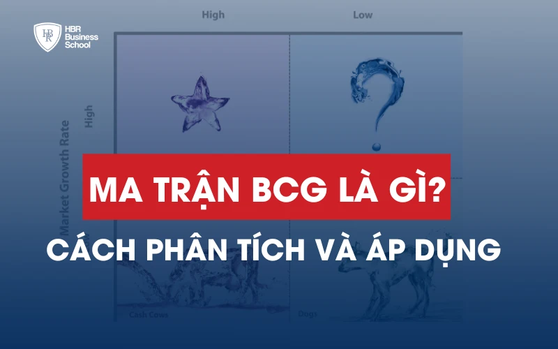 CÁCH PHÂN TÍCH VÀ ỨNG DỤNG MA TRẬN BCG VÀO DOANH NGHIỆP