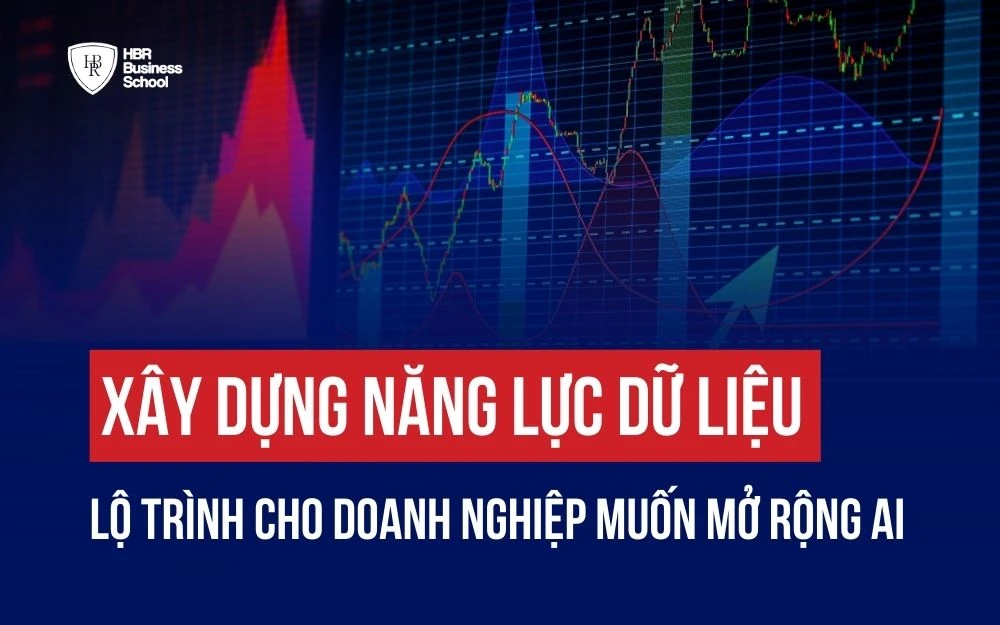 XÂY DỰNG NĂNG LỰC DỮ LIỆU - LỘ TRÌNH CHO DOANH NGHIỆP MUỐN MỞ RỘNG AI