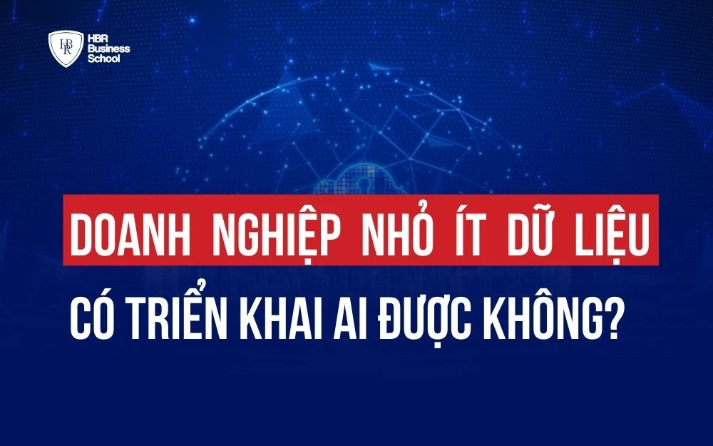 DOANH NGHIỆP NHỎ ÍT DỮ LIỆU CÓ TRIỂN KHAI AI ĐƯỢC KHÔNG?