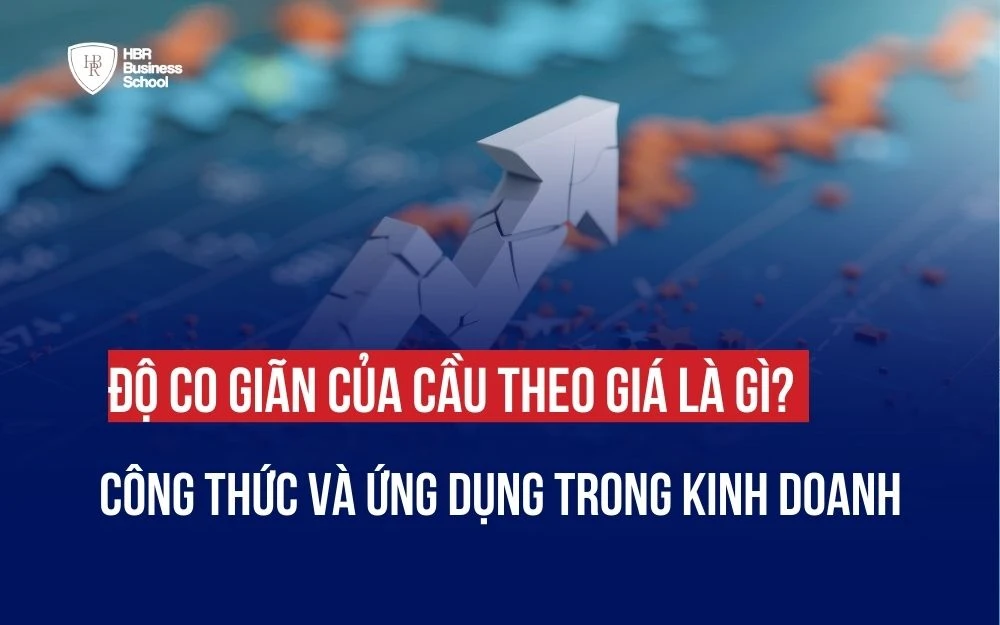 ĐỘ CO GIÃN CỦA CẦU THEO GIÁ LÀ GÌ? CÔNG THỨC VÀ ỨNG DỤNG TRONG KINH DOANH
