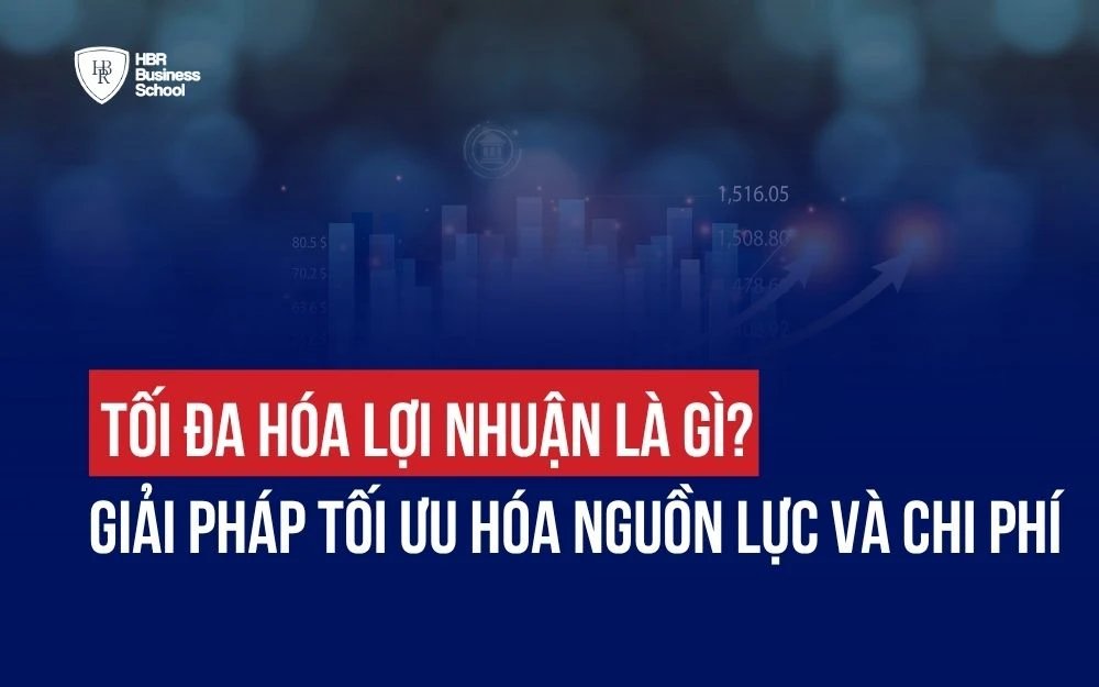 TỐI ĐA HÓA LỢI NHUẬN LÀ GÌ? GIẢI PHÁP TỐI ƯU HÓA NGUỒN LỰC VÀ CHI PHÍ