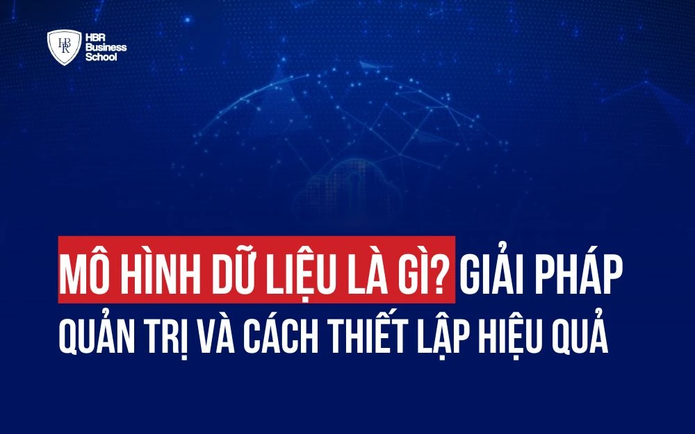 MÔ HÌNH DỮ LIỆU LÀ GÌ? GIẢI PHÁP QUẢN TRỊ VÀ CÁCH THIẾT LẬP HIỆU QUẢ
