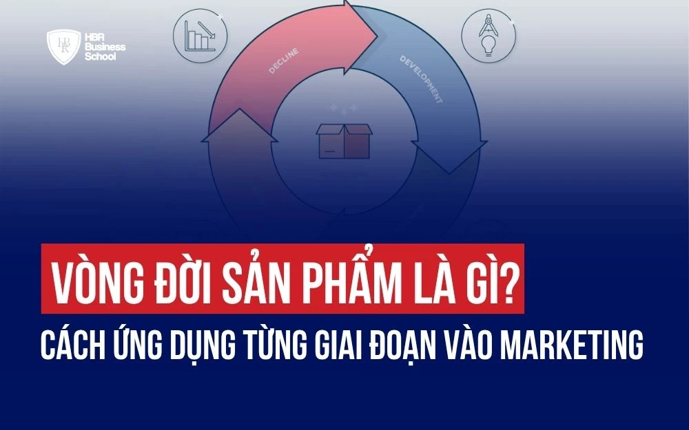 VÒNG ĐỜI SẢN PHẨM LÀ GÌ? CÁCH ỨNG DỤNG TỪNG GIAI ĐOẠN VÀO CHIẾN LƯỢC MARKETING