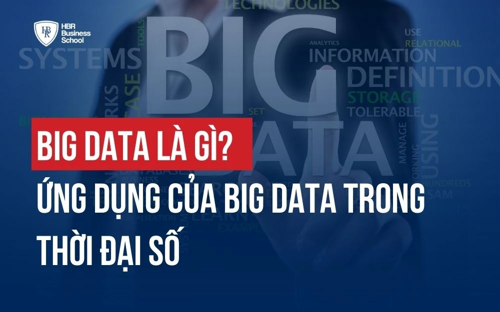 BIG DATA LÀ GÌ? ỨNG DỤNG CỦA BIG DATA TRONG THỜI ĐẠI SỐ