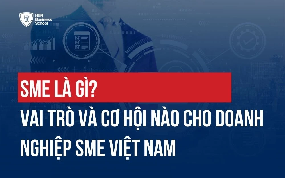 SME LÀ GÌ? VAI TRÒ VÀ CƠ HỘI NÀO CHO DOANH NGHIỆP SME VIỆT NAM