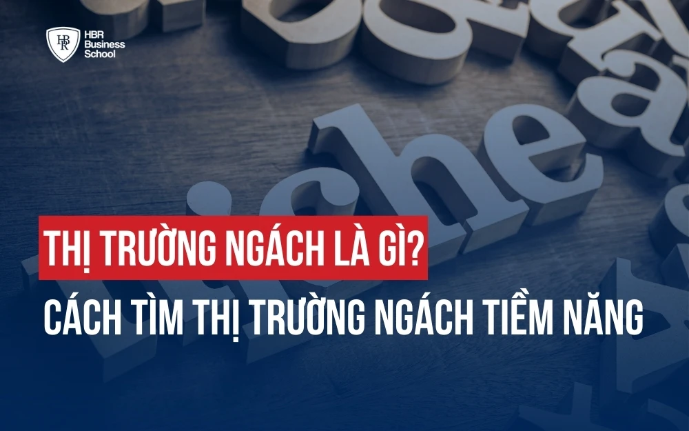 THỊ TRƯỜNG NGÁCH LÀ GÌ? CÁCH TÌM THỊ TRƯỜNG NGÁCH TIỀM NĂNG