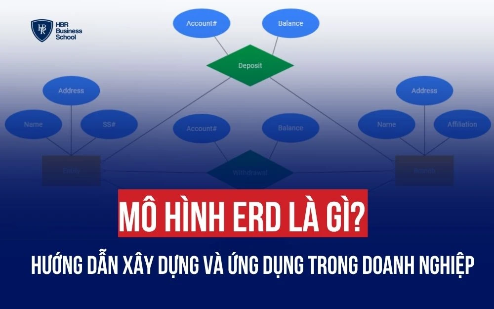 MÔ HÌNH ERD LÀ GÌ? HƯỚNG DẪN XÂY DỰNG VÀ ỨNG DỤNG TRONG DOANH NGHIỆP