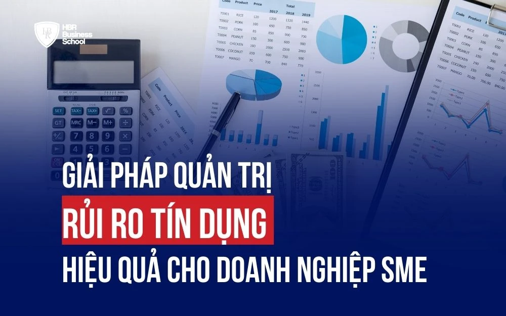 GIẢI PHÁP QUẢN TRỊ RỦI RO TÍN DỤNG HIỆU QUẢ CHO DOANH NGHIỆP SME