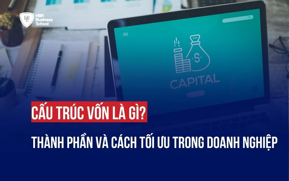 CẤU TRÚC VỐN LÀ GÌ? THÀNH PHẦN VÀ CÁCH TỐI ƯU TRONG DOANH NGHIỆP
