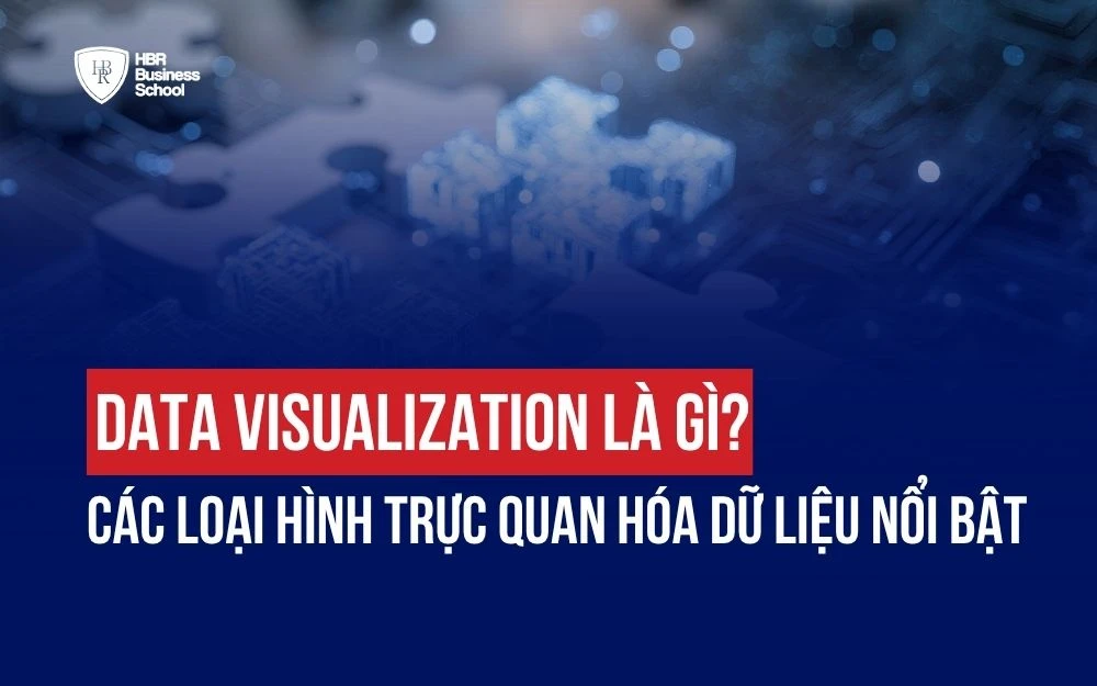 DATA VISUALIZATION LÀ GÌ? CÁC LOẠI HÌNH TRỰC QUAN HÓA DỮ LIỆU NỔI BẬT