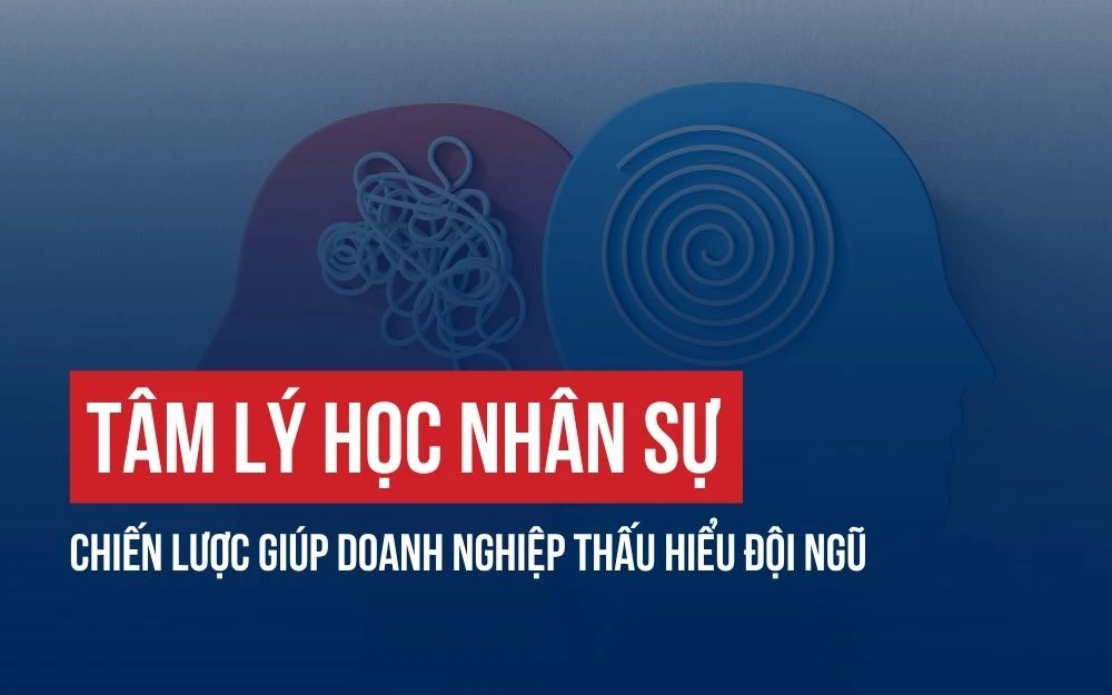 TÂM LÝ HỌC NHÂN SỰ: CHIẾN LƯỢC GIÚP DOANH NGHIỆP THẤU HIỂU ĐỘI NGŨ