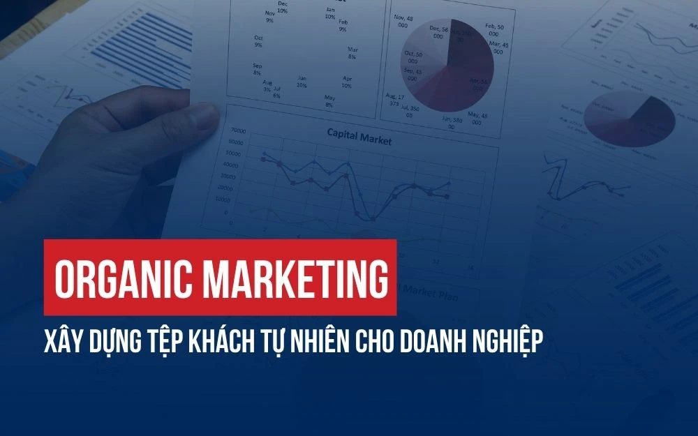 ORGANIC MARKETING: XÂY DỰNG TỆP KHÁCH TỰ NHIÊN CHO DOANH NGHIỆP