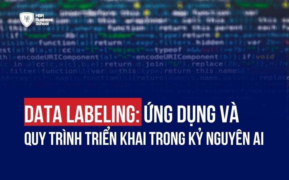 DATA LABELING: ỨNG DỤNG VÀ QUY TRÌNH TRIỂN KHAI TRONG KỶ NGUYÊN AI