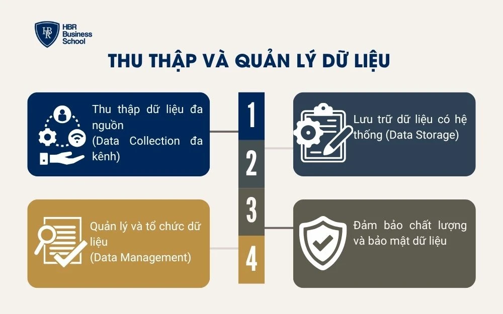 Thu thập và quản lý dữ liệu