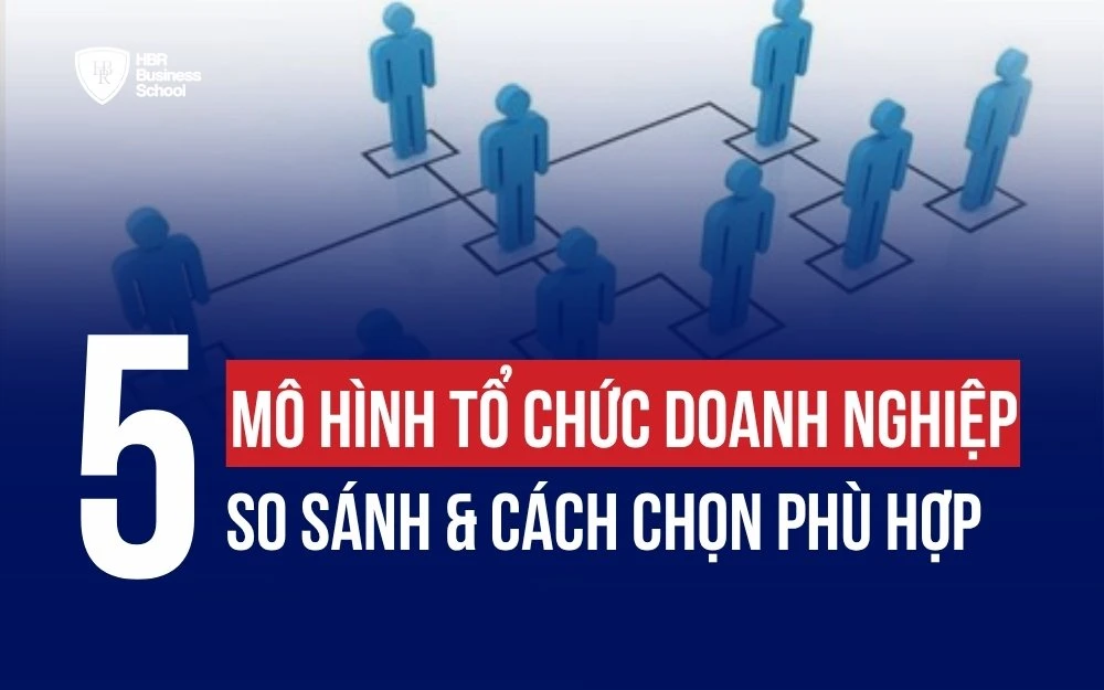5 MÔ HÌNH CƠ CẤU TỔ CHỨC DOANH NGHIỆP: HƯỚNG DẪN LỰA CHỌN PHÙ HỢP