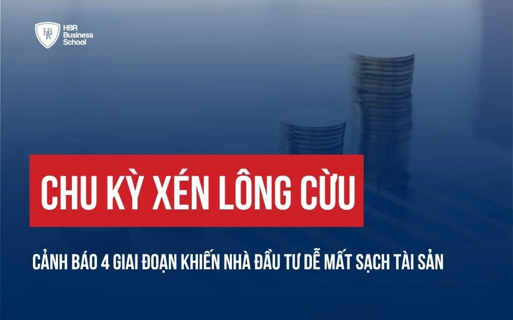 CHU KỲ XÉN LÔNG CỪU: CẢNH BÁO 4 GIAI ĐOẠN KHIẾN NHÀ ĐẦU TƯ DỄ MẤT SẠCH TÀI SẢN