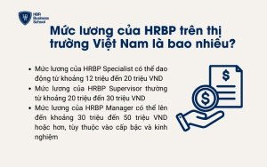 Mức lương trung bình của HRBP theo cấp độ tại thị trường Việt Nam