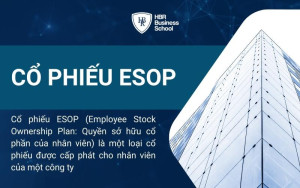 Giải thích khái niệm cổ phiếu ESOP là gì đơn giản dễ hiểu