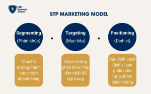 Xác định đúng khách hàng mục tiêu theo mô hình STP