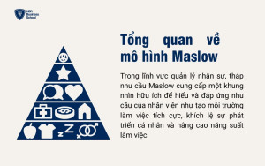 Mô hình Maslow trong quản trị nhân sự