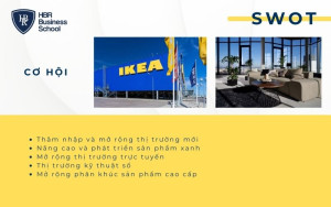 Những cơ hội tiềm năng mà IKEA có thể khai thác và tận dụng