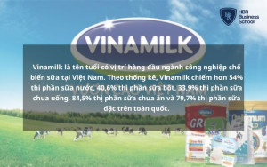 Vinamilk là thương hiệu cung cấp các sản phẩm dinh dưỡng từ sữa lâu đời tại Việt Nam