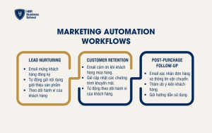 Quy trình cơ bản các doanh nghiệp sử dụng phổ biến để Marketing Automation
