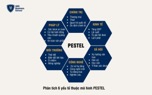 Phân tích 6 yếu tố của mô hình PESTEL sẽ giúp bạn hiểu rõ hơn tình hình môi trường xung quanh doanh nghiệp