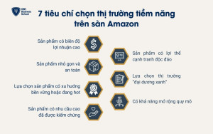 7 tiêu chí chọn thị trường tiềm năng trên sàn thương mại điện tử Amazon