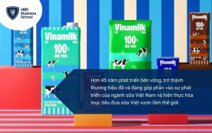 Định vị thương hiệu là gì? Vinamilk có chiến lược định vị phù hợp với thị trường Việt Nam giúp giữ vững giá trị cốt lõi của thương hiệu như thế nào?