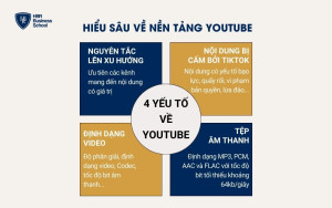 Cách xây dựng kênh Youtube hiệu quả là phải hiểu về nền tảng