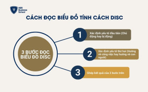3 bước hướng dẫn đọc biểu đồ DISC