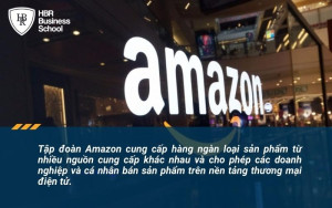 Sự thành công của Amazon với mô hình kinh doanh B2C bằng hình thức trực tuyến