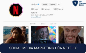 Case study Social Media Marketing của Netflix