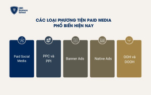 Top 5 phương tiện Paid Media phổ biến