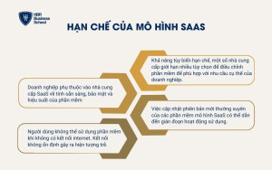 Một số hạn chế của phần mềm mô hình SaaS