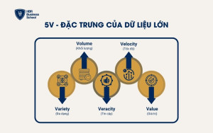 5V - 5 đặc trưng của Big Data là gì?