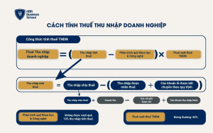 Cách tính thuế thu nhập doanh nghiệp mới nhất 2024