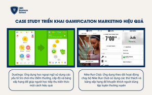 Case study triển khai Gamification Marketing hiệu quả