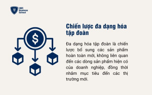 Chiến lược đa dạng hóa tập đoàn