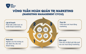 Vòng tuần hoàn quản trị marketing (Marketing Management Cycle)