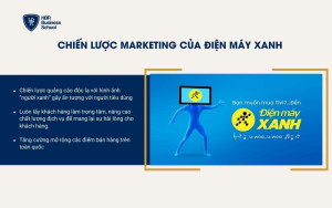 Chiến lược marketing của Điện máy Xanh