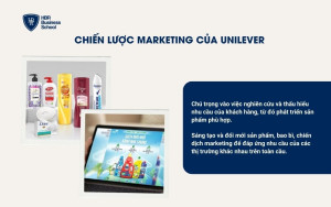 Unilever là tập đoàn có nhiều thương hiệu con