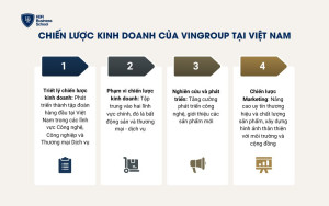 Chiến lược kinh doanh của VinGroup tại Việt Nam