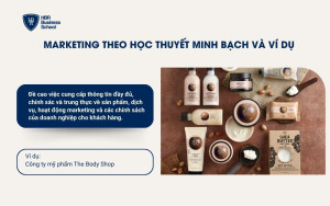 Marketing theo học thuyết minh bạch và ví dụ