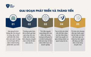 Giai đoạn phát triển và thăng tiến trong hành trình trải nghiệm nhân viên