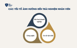 Các yếu tố ảnh hưởng trực tiếp đến trải nghiệm nhân viên