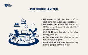 Môi trường làm việc