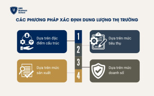 Các phương pháp xác định dung lượng thị trường