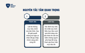 Nguyên tắc Tầm quan trọng